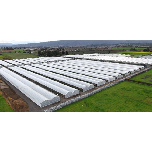 BÁO GIÁ MÀNG NHÀ KÍNH  200MIC BÁO GIÁ MÀNG NHÀ KÍNH  200MIC